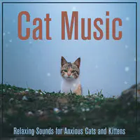 Cat Music: Relaxing Sounds for Anxious Cats and Kittens