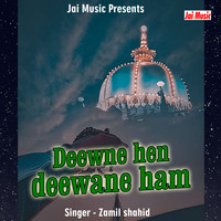 Deewne hen deewane ham