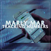 Tracking Numbers