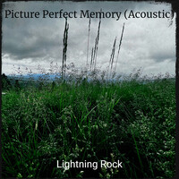 Picture Perfect Memory (Acoustic)