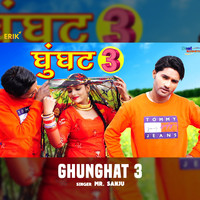 Ghunghat 3