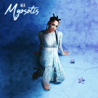 Myosotis