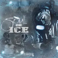 Soul on Ice 2