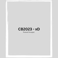 CB2023 - xD