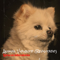 Animal Violento (Revisitado)