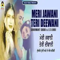 Meri Jawaani Teri Deewani