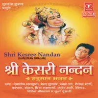 Shri Kesree Nandan