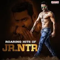 Roaring Hits of Jr NTR