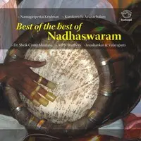 Best Of The Best Of Nadhaswaram