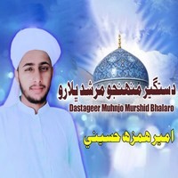 Dastageer Muhnjo Murshid Bhalaro