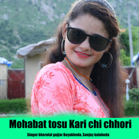 Mohabat Tosu Kari Chi Chhori