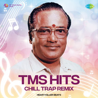 TMS Hits - Chill Trap Remix