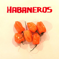 Habaneros