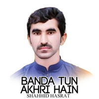 Banda Tun Akhri Hain