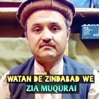 WATAN DE ZINDABAD WE