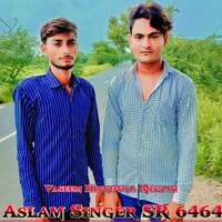 Aslam Singer SR 6464