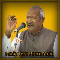 Main Tere Prem Mein