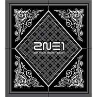 2NE1 1st LIVE CONCERT [NOLZA!]