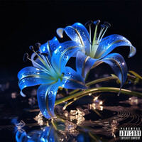 Blue Lily Series 1