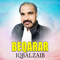 Beqarar