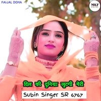 Subin Singer Sr 6767