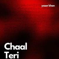 Chaal Teri