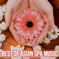 Best of Asian Spa Music