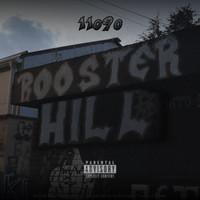 Rooster Hill (11090)