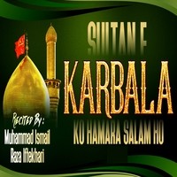 Sultan E Karbala Ko Hamara Salam Ho Song Download: Play & Listen Sultan