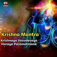 Krishna Mantra Krishnaya Vasudevaya Hareya Partmatmane