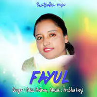 Fayul