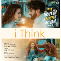 I Think (From "Tu Hovein Main Hovan")