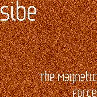 The Magnetic Force