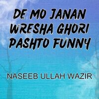 De Mo Janan Wresha Ghori Pashto Funny