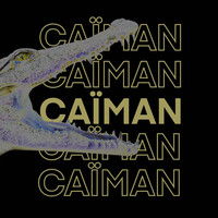 Caïman