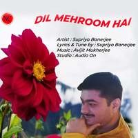 Dil Mehroom Hai