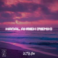 dj lil star hadal ahbek remix lyrics