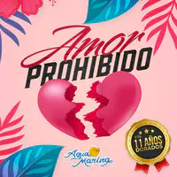 Amor Prohibido Vol. 11 Años Dorados