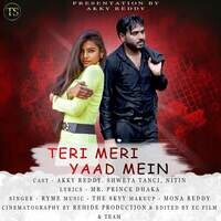 Teri Meri Yaad Mein