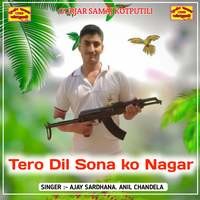 Tero Dil Sona Ko Nagar