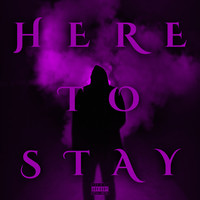 Here to Stay