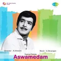 Aswamedam (drama) 