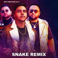 Snake Remix