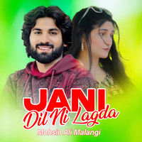 Jani (Dil Ni Lagda)