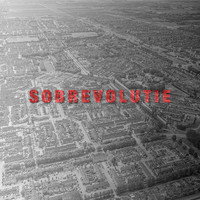 Sobrevolutie