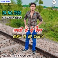 Kaif Singer SR 2550 ( Gaamdi Ke Do Chhela )