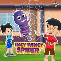 Incy Wincy Spider