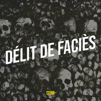 Délit de faciès