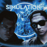 Simulation