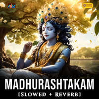 Madhurashtakam [Slowed + Reverb]